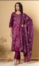 Stunning Anarkali Suit Set for Women